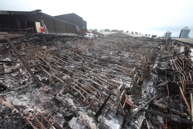 The Fire Service said the number of animals killed was estimated at between 1,500 and 2,000