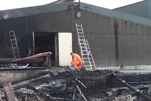 The pigs were inside a large shed at Carrigenagh Road when the fire broke out