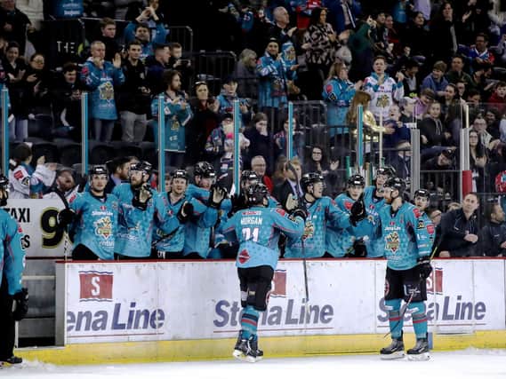 The Elite Ice Hockey League has announced the suspension of 2020-21 season