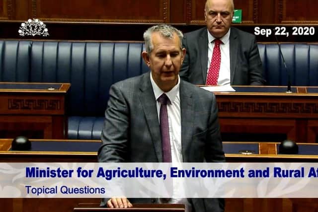 DUP minister Edwin Poots told MLAs that he had been told that the new trade border will almost certainly not be operationally ready due to IT issues