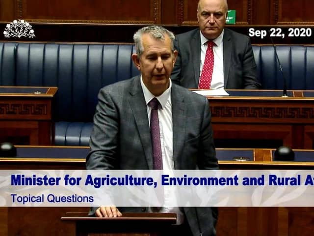 DUP minister Edwin Poots told MLAs that he had been told that the new trade border will almost certainly not be operationally ready due to IT issues