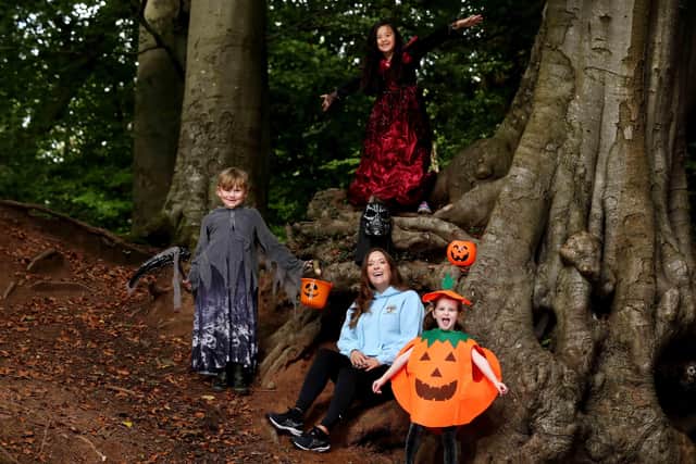 Colette McCartney, Founder of Holistic Kidz, is joined by Finn Jones (age 7), Susannah McCartney (age 7), and Elle Brown (age 4) to launch the outdoor forest school's spook-tacular Halloween Camp