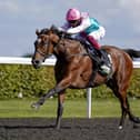 Enable winning The Unibet September Stakes at Kempton Park Racecourse on September 05, 2020 in Sunbury, England. (Photo by Alan Crowhurst/Getty Images)