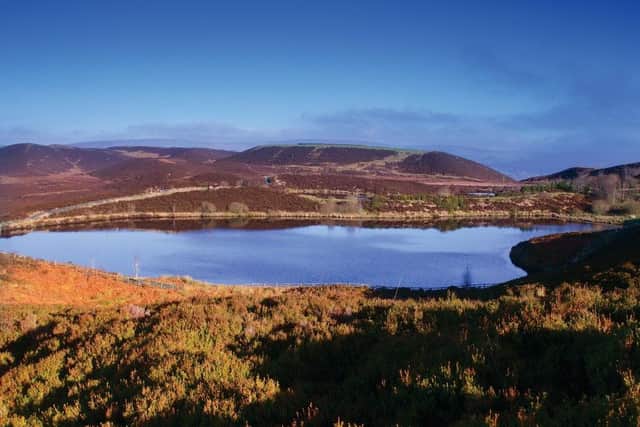 The Gortin Glens Forest Park, 16 kilometres (10 miles) north of Omagh is a large forest with many attractions, including a deer enclosure and many areas of natural beauty, including waterfalls and lakes