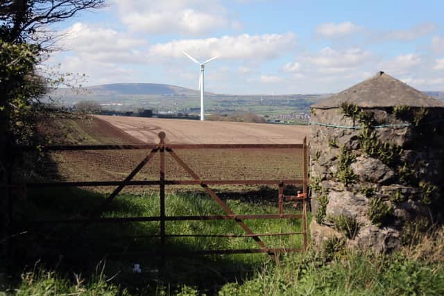 Wind turbines have proliferated across Northern Ireland due to subsidies. Photo: Kevin McAuley