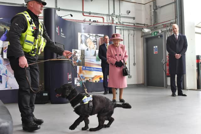 Queen Elizabeth II and the Duke of Cambridge (right) view a demonstration of a Forensic Explosives Investigation with explosives detection dog named 'Max'