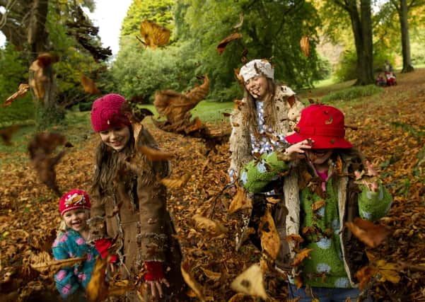 Children playing in the autumn leaves at Rowallane Garden, County Down, in October.