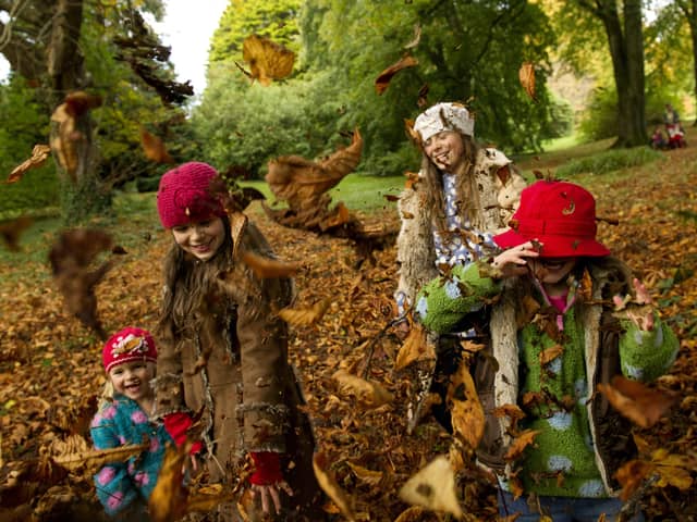 Children playing in the autumn leaves at Rowallane Garden, County Down, in October.