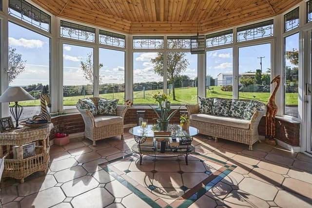 The sun room