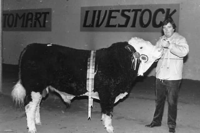 Pictured in October 1987 is Noel Kilpatrick from Banbridge, Co Down, with the supreme champion Ballymoney Sam, at the Northern Ireland Simmental Cattle Club's autumn show and sale at Automart, Portadown, Co Armagh. Picture: Picture: Farming Life archives