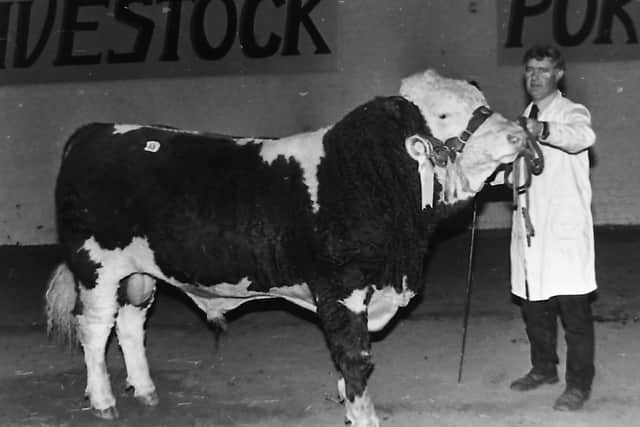 Andrew Patterson from Cookstown, Co Tyrone, with the reserve champion, Wilandale Supreme, at the Northern Ireland Simmental Cattle Club's autumn show and sale at Automart, Portadown, Co Armagh. Picture: Picture: Farming Life archives