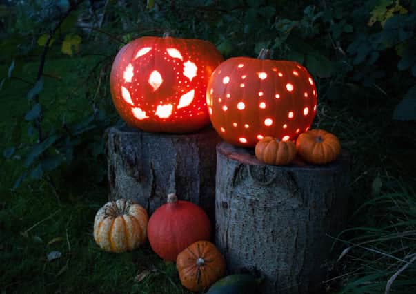 Get creative with different types of pumpkins this Halloween. Credit National Trust