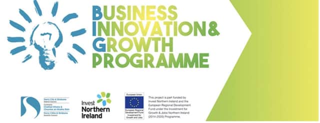 Council’s Business Innovation and Growth (BIG) Programme