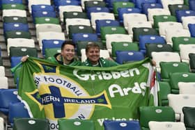 Northern Ireland fans pictured at the recent Nations League game against Austria