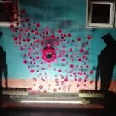 The poppy cascade created by Larne Army Cadets.