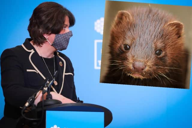 First Minister Arlene Foster, has said "we should all be concerned about"