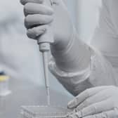 Scientists working on a Coronavirus vaccine
