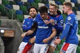 Linfield celebrate Jimmy Callacher's late equaliser