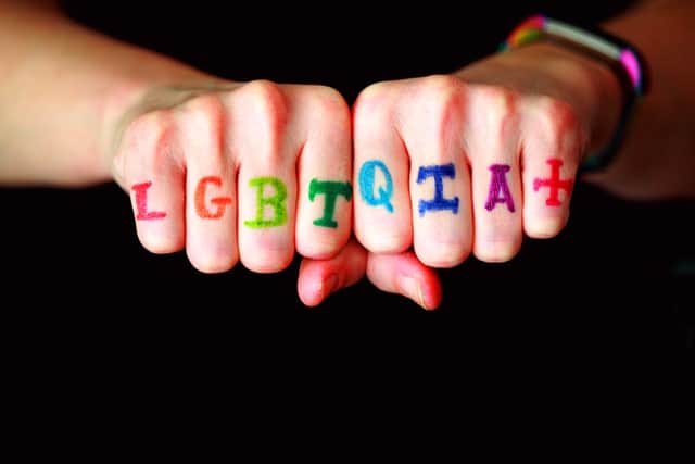 LGBTQIA+ (formerly just LGB) stands for lesbian, gay, bisexual, transgender, queer\questioning, intersex, asexual, and more