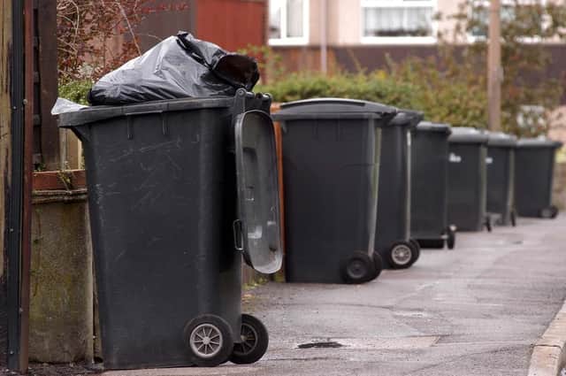 Ards and North Down council is to trial empyting its grey bins once a month