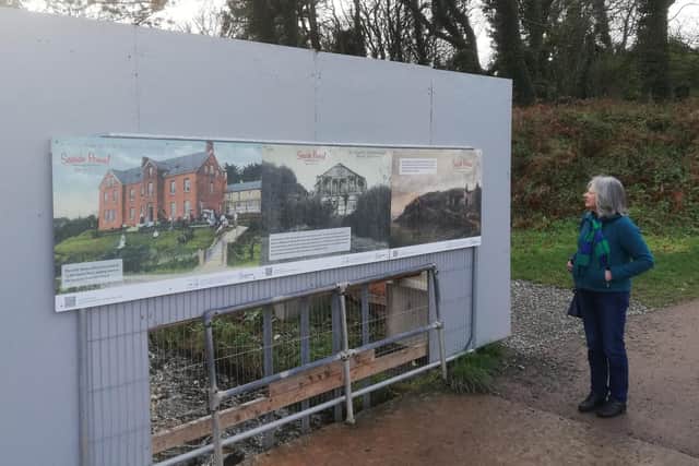 Rosemary Masefield viewing one of the Stricklands Glen panels