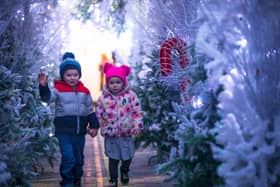 Saul (4) and Sophie (3) Walsh spot one of the props on Belfast One's free Christmas Trail in the festive scene at Joy's Entry