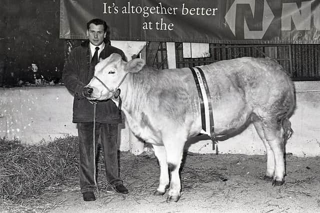 Jim Sloan of Kilkeel with  the Ulster Housewife's Choice, a pedigree Belgian Blue heifer pictured  at the annual Christmas show and sale of beef cattle which was held at Allam's Mart in Belfast in December 1990. Picture: Farming Life/News Letter archives