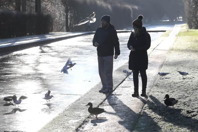 Winter frost has seen the ornamental ponds freeze over with ice in Castle Gardens