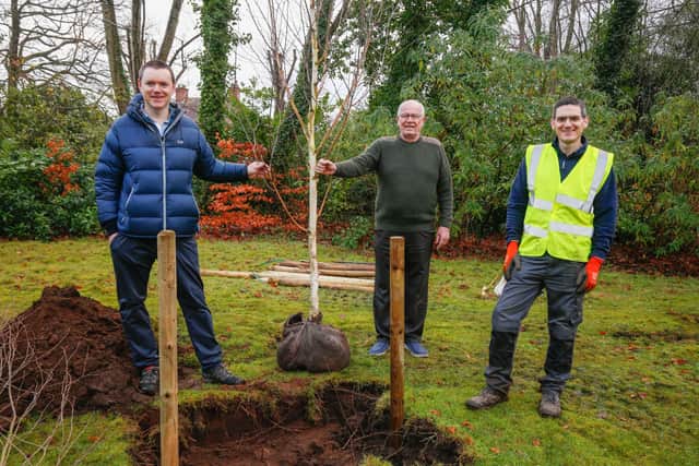 Cameron Watt, Alpha Housing, Tom Morgan, Lowry Court resident and Richard Good, Outwork planting trees at Lowry Court in south Belfast