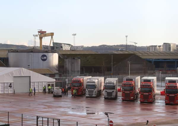 Lorries await checks at Belfast Harbour on January 1. Companies have already suspended Great Britain-NI services. Owen Polley says: "Some unionists felt less strongly about Boris Johnson’s NI Protocol than May’s backstop because they liked him"