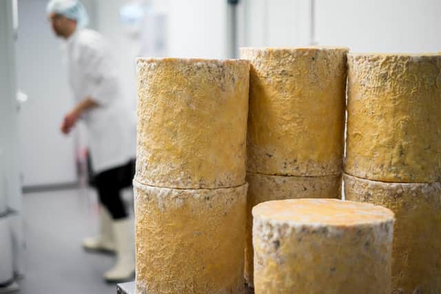 Mike Thomson’s award winning Young Buck blue cheese