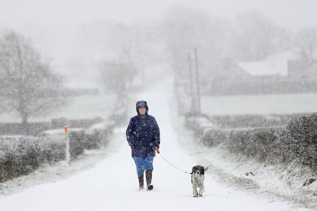A woman walks her dog through the snow