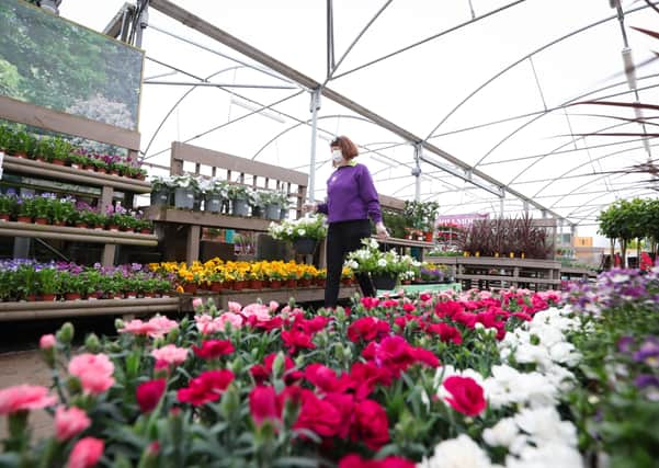 The Irish Sea border has banned British soil from Northern Ireland – and that is helping to push one of NI’s biggest garden centres ‘to the brink of collapse’
