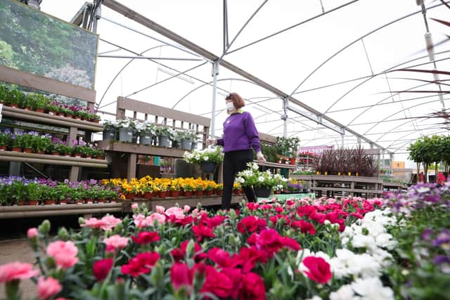The Irish Sea border has banned British soil from Northern Ireland – and that is helping to push one of NI’s biggest garden centres ‘to the brink of collapse’
