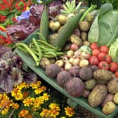Gardeners are finding it increasingly difficult to get something as basic as vegetable seed as more and more GB companies pull out of the NI market
