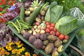 Gardeners are finding it increasingly difficult to get something as basic as vegetable seed as more and more GB companies pull out of the NI market