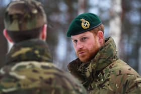The Duke of Sussex. File photo.