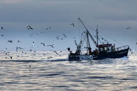 Representatives from the NI fishing industry gave evidence to a Stormont committee