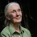 Dr Jane Goodall in Gombe National Park