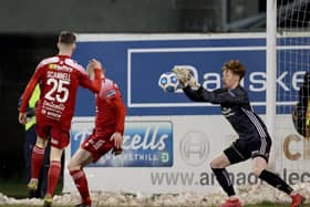 Portadown goalkeeper Jacob Carney during Saturday's 1-1 draw against Cliftonville. Pic by Pacemaker.