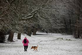 Walkers and sleighers enjoy the snow at Ormeau Park, Belfast on Saturday before the snow was washed away.

Picture Matt Mackey / Press Eye.