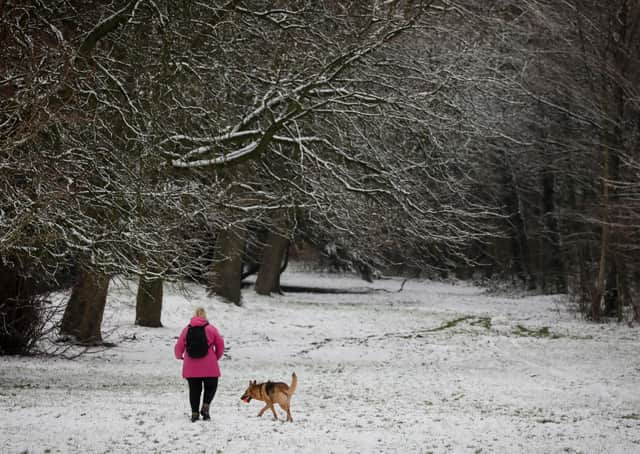 Walkers and sleighers enjoy the snow at Ormeau Park, Belfast on Saturday before the snow was washed away.Picture Matt Mackey / Press Eye.