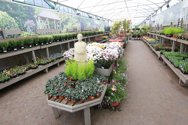 Hillmount Garden Centre in Belfast