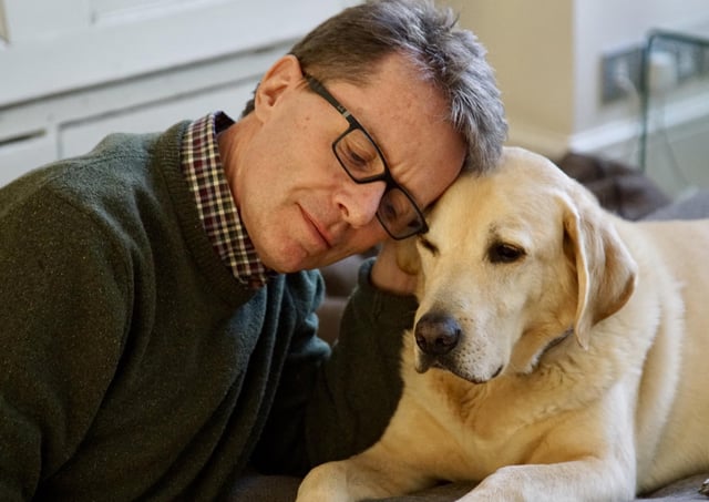 ‘How my canine Maxwell helped me by my breakdown’