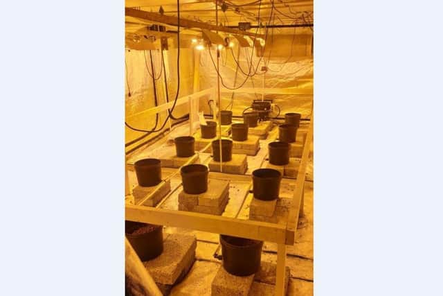 Cannabis factory discovered by the PSNI.