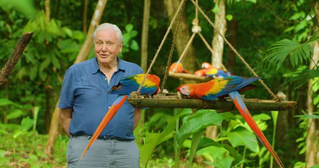 Sir David Attenborough with Scarlet macaws in Costa Rica