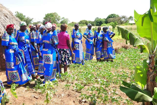 Women farmers in Teso, Uganda