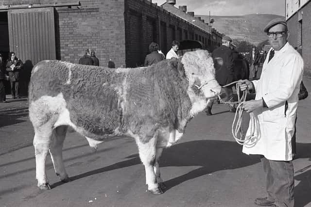 John Shaw from Dungannon, Co Tyrone, with his Simmental bull at the Balmoral show and sale in February 1982. Picture: Randall Mulligan/Farming Life archives