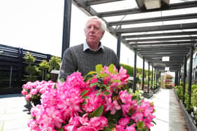 Robin Mercer, owner of the Hillmount Garden Centre at Gilnahirk, said the delay to the soil ban is “just one piece of the jigsaw” in dealing with the problem with importing plants from Great Britain