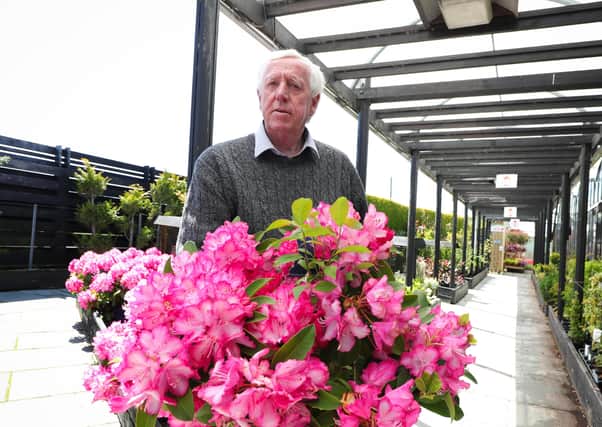 Robin Mercer, owner of the Hillmount Garden Centre at Gilnahirk, said the delay to the soil ban is “just one piece of the jigsaw” in dealing with the problem with importing plants from Great Britain